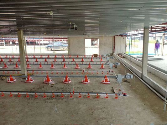Pan Feeding SS304 3.5m Broiler House Equipment For Chicken