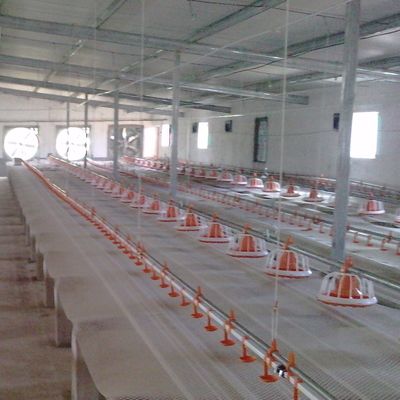 15 Broilers Aluminum Alloy Chicken Nipple Drinker System