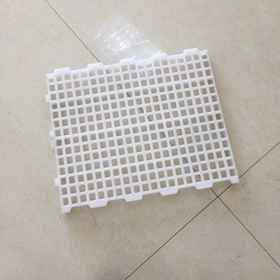 Chicken Equipment Plastic Mesh Floor Poultry Slat Flooring