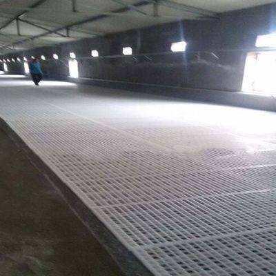 Chicken Equipment Plastic Mesh Floor Poultry Slat Flooring