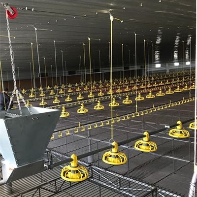 Farm Breeder Houses Male Broiler Chicken Equipment