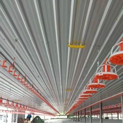 Poultry Farm Auto 380V Chicken House Equipment