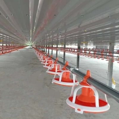 Duck Layer Hens Chicken Shed Broiler Poultry Equipment