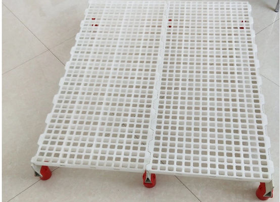 Chicken Plastic Dung Board Poultry Slat Flooring