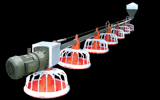 Hens Poultry Pipe Automatic Pan Feeding System