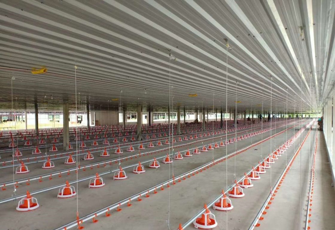 Pan Feeding SS304 3.5m Broiler House Equipment For Chicken