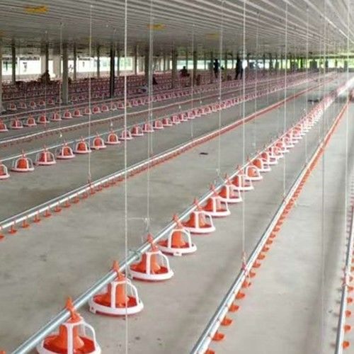Poultry Farm Auto 380V Chicken House Equipment